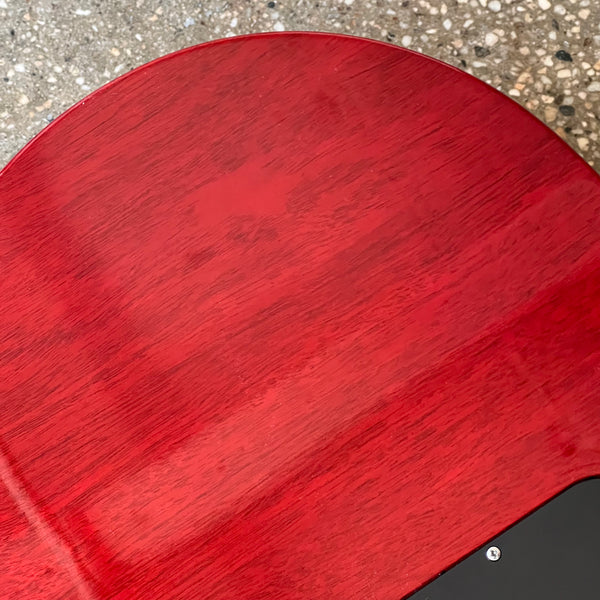 Gibson Slash Collection Les Paul Standard 2022 - Appetite Burst - 19