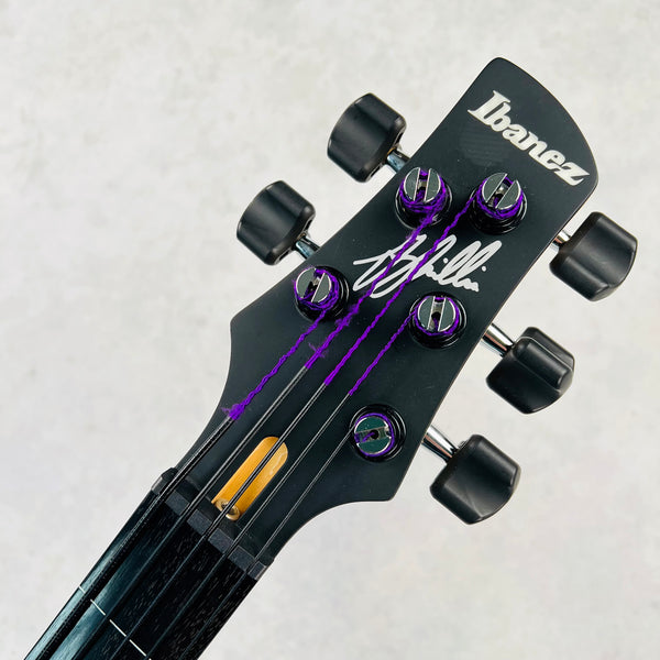 Ibanez GWB25TH Gary Willis 25th Anniversary Signature 5-String Fretless 2024 - Silver Wave Burst Flat - 10