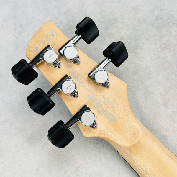 Ibanez GWB25TH Gary Willis 25th Anniversary Signature 5-String Fretless 2024 - Silver Wave Burst Flat - 17