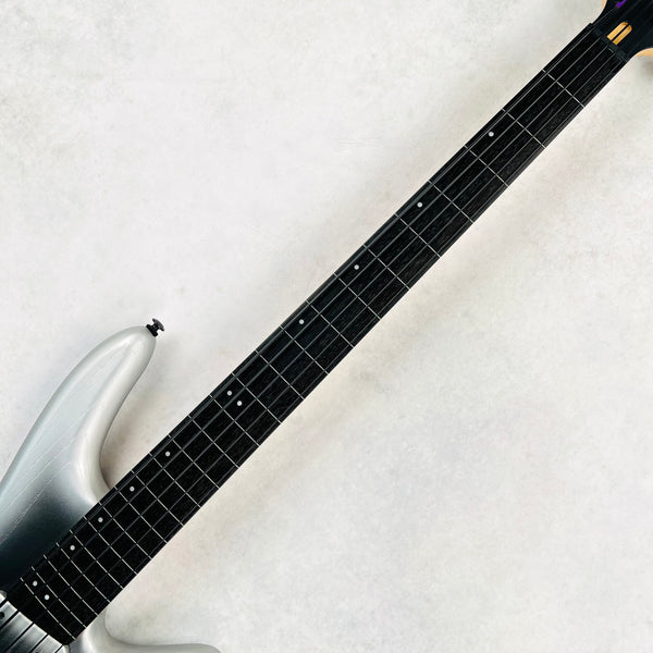 Ibanez GWB25TH Gary Willis 25th Anniversary Signature 5-String Fretless 2024 - Silver Wave Burst Flat - 9