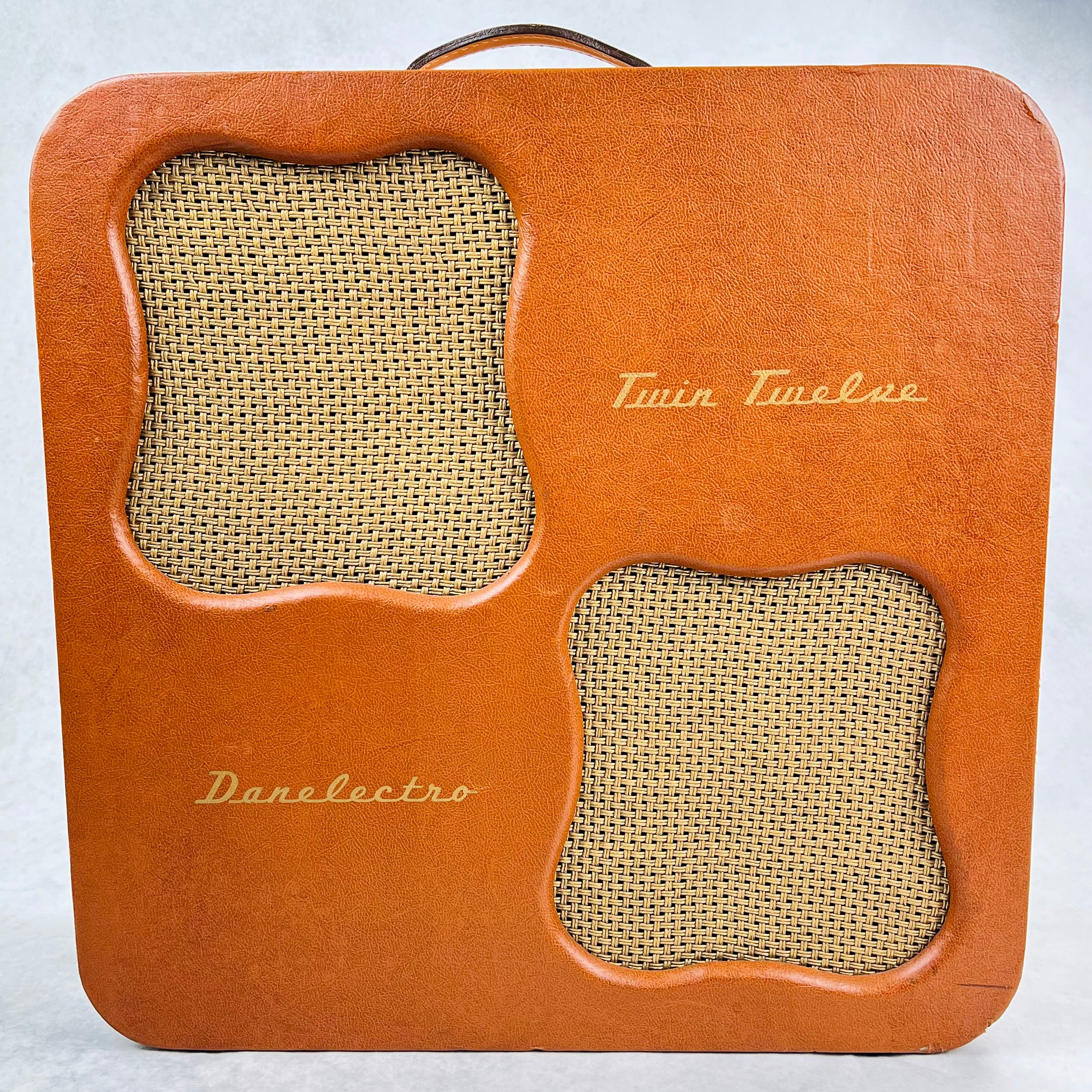 Danelectro Twin Twelve Series CA 2x12