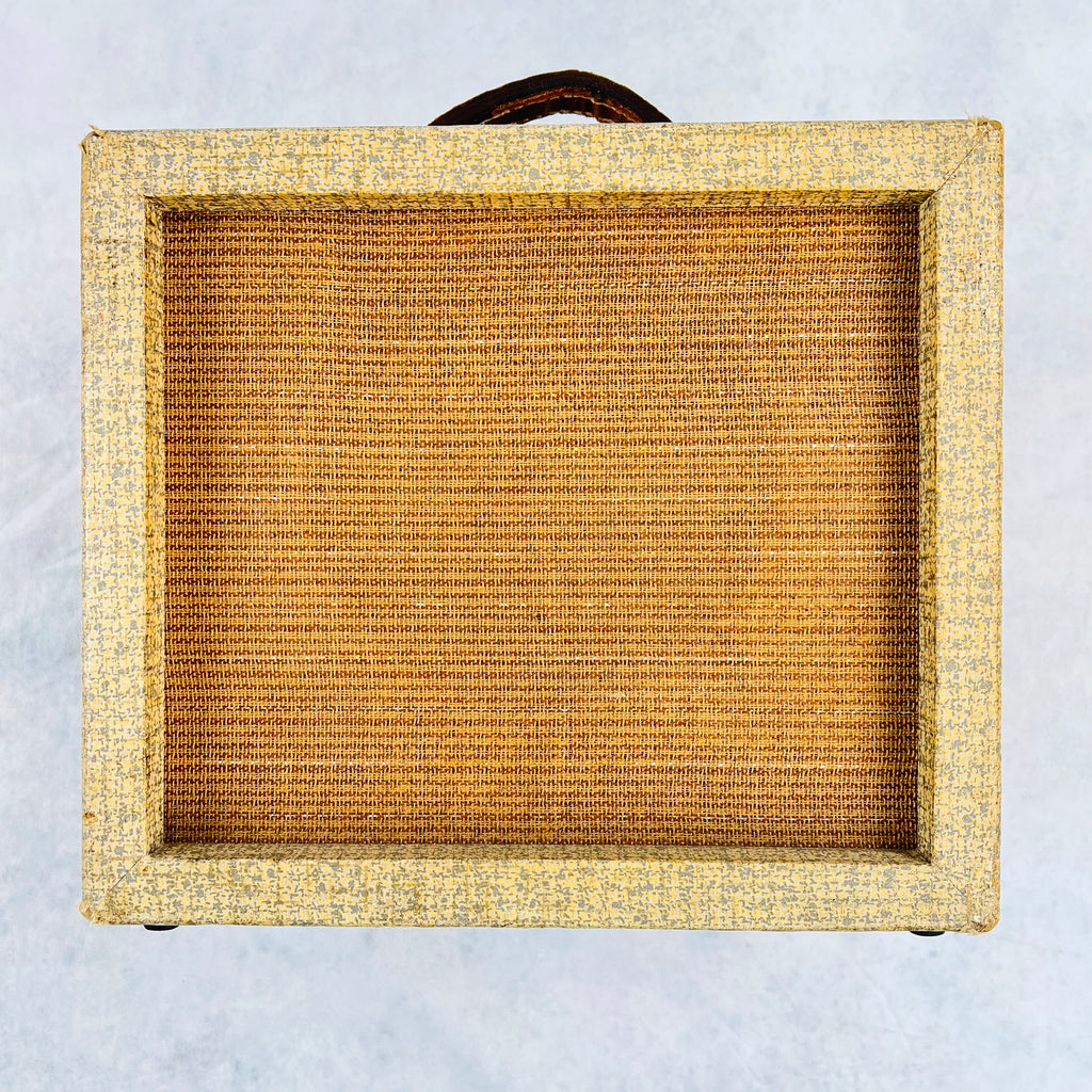 1962 Lectrolab Sound Projects Model R200B Vintage Guitar Tube Combo Amplifier Cream - 1