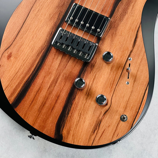 Relish Mary One with XV & P-90 Pickups 2019 - Shady Tineo