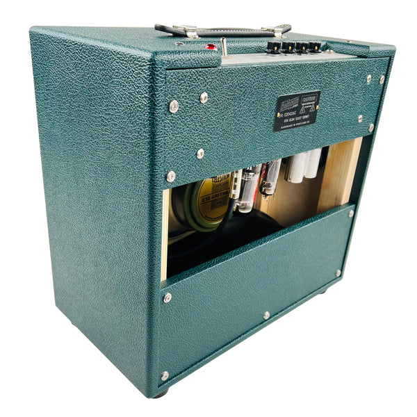 Benson Vinny Reverb 1x10" Combo Amplifier 2026 - Green Tolex & Check Grill - 4