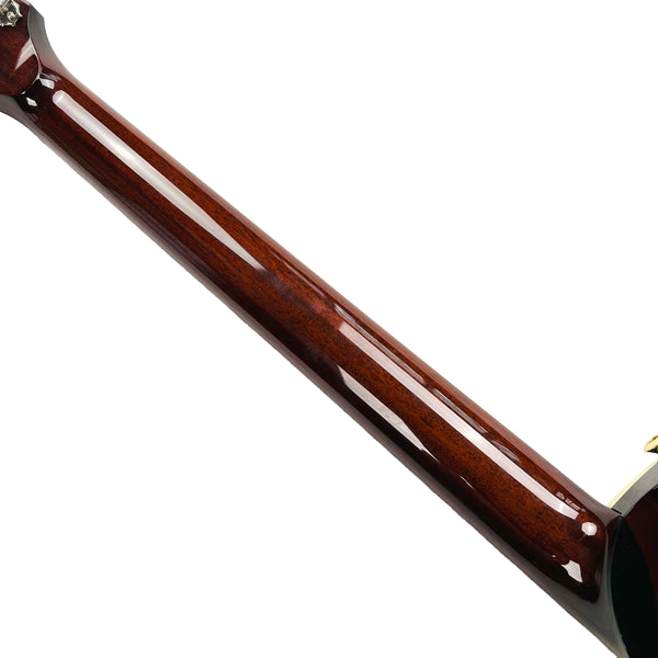 Circle Strings More Paul Hollow Body Cocobolo Top 2026 - Natural - 15