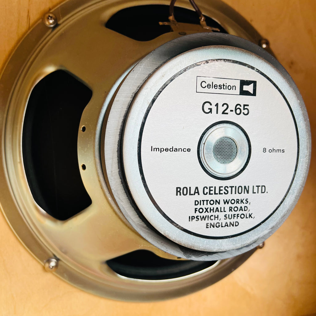 Colby DTB50 Dual Tone Booster Guitar Head & 1x12" Cabinet 2010s - Blonde - 15