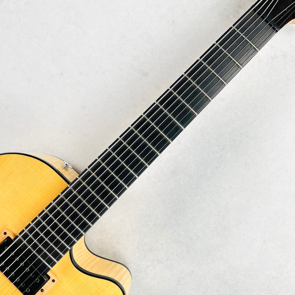Dale Unger Bucky Pizzarelli American Archtop Model 7-String 2024 - Natural - 8