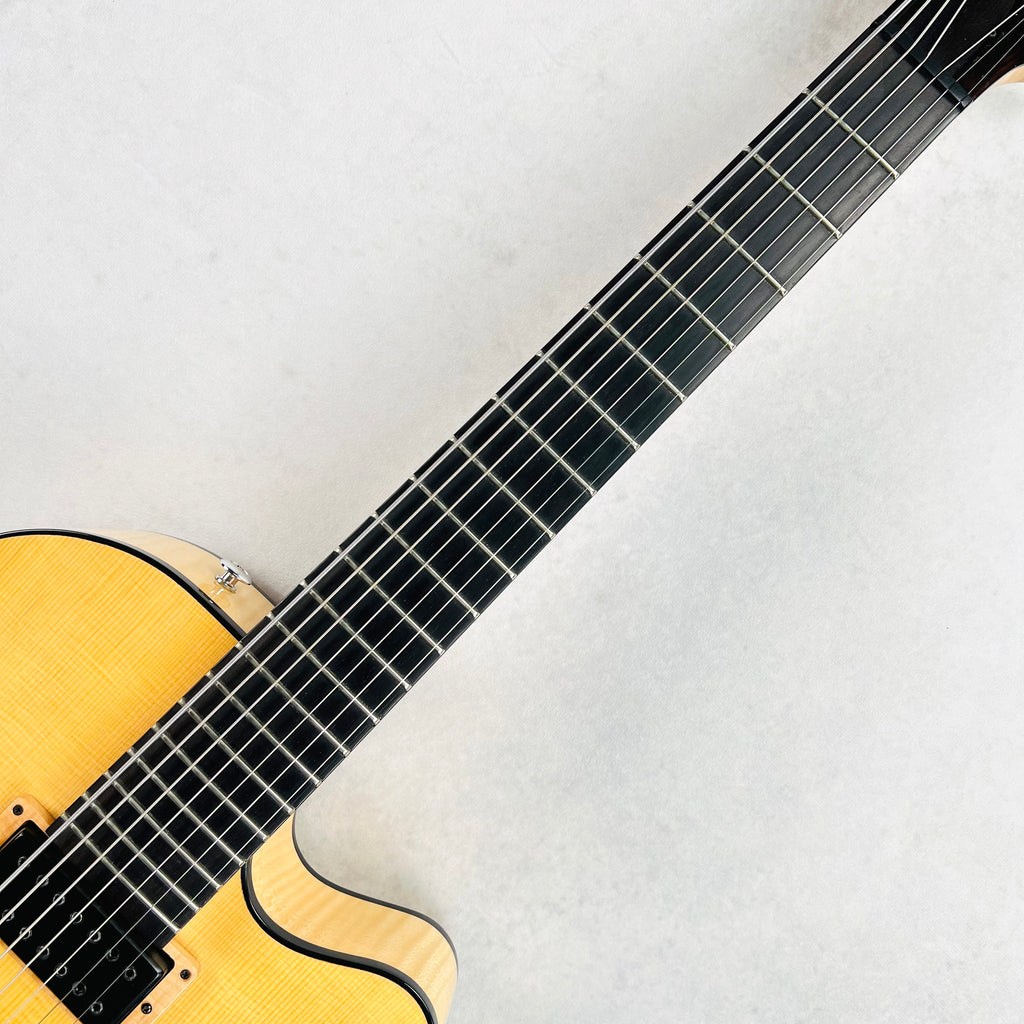 Dale Unger Bucky Pizzarelli American Archtop Model 7-String 2024 - Natural - 8