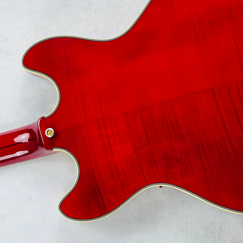 D'Angelico EX-DC 2013 - Transparent Red - 14