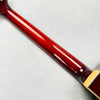 Eastman AR680CE John Pisano Archtop 2024 - Classic - 14