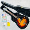 Edwards E-FA-LTD Hollow Body 2016 - Sunburst - 20