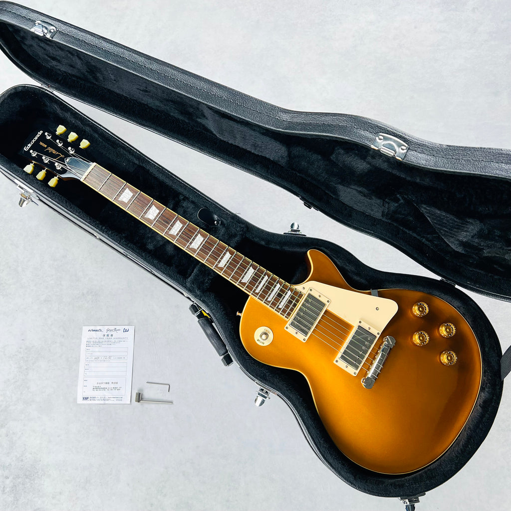 Edwards E-LP-STD LTD Limited Model 2023 - All Gold - 17