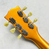 Edwards E-LP-STD LTD Limited Model 2023 - All Gold - 14