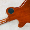 Godin Icon Type 2 Convertible - Sunburst - 14