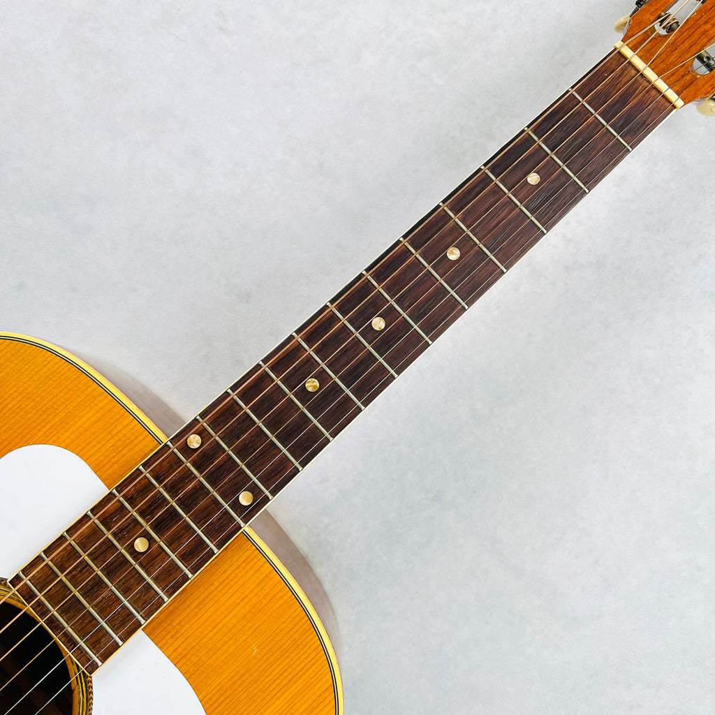 Goya F-27 12-Fret Dreadnought 1963 - Natural - 12