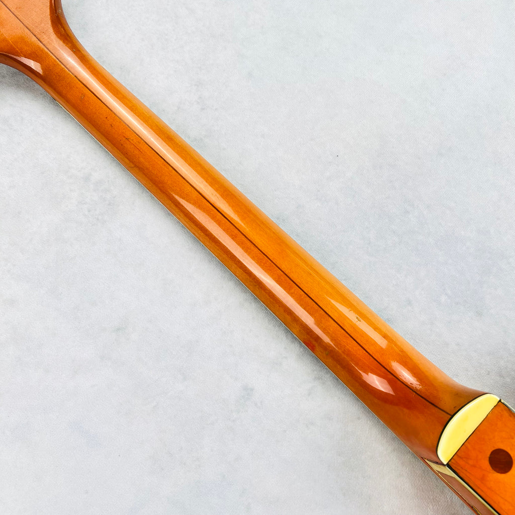 Gretsch 6120 Chet Atkins Hollowbody Thinline 1962 - Western Orange - 16