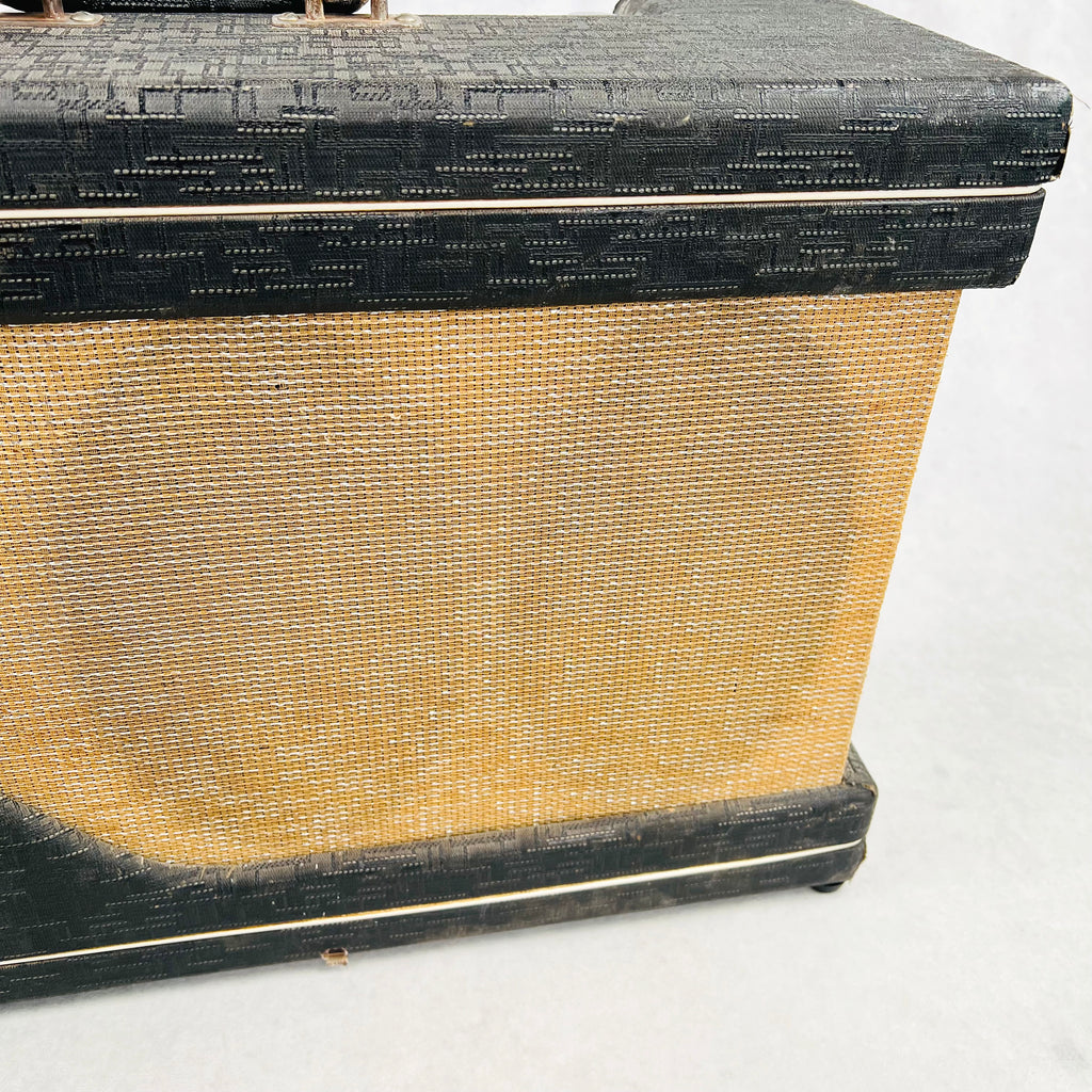 Gretsch 6161 Country Gentleman 2x10" Combo Amplifier 1962 - Gray - 4