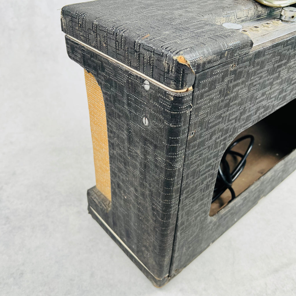 Gretsch 6161 Country Gentleman 2x10" Combo Amplifier 1962 - Gray - 6