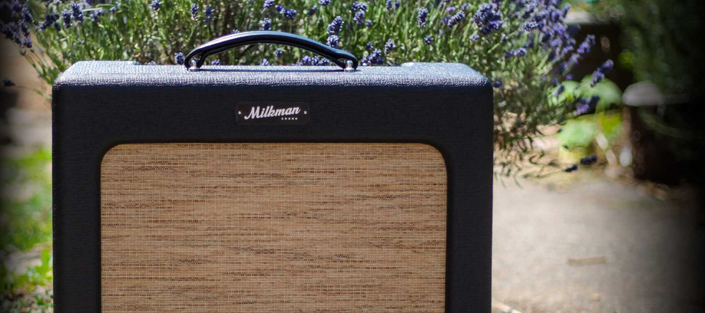 Guitar Amplifiers For Sale At Tone Wolf