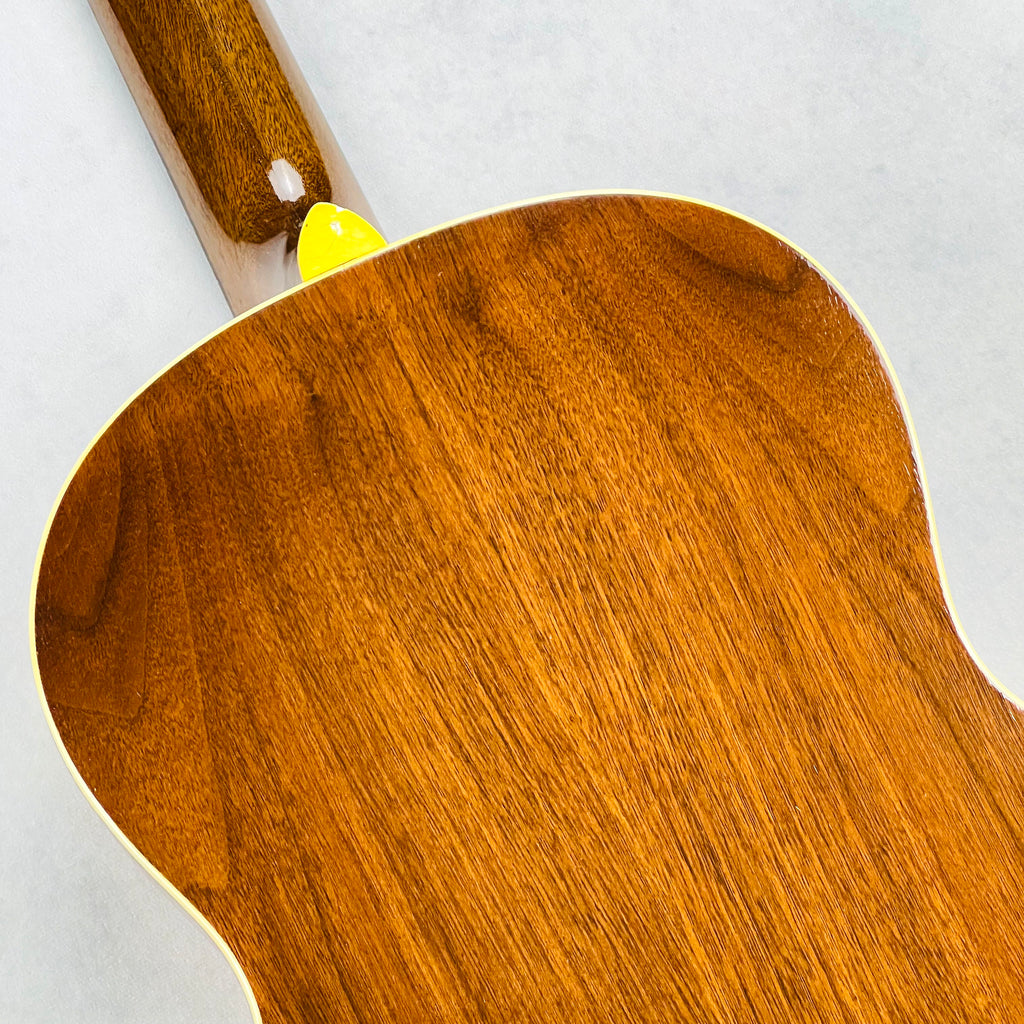 Hagstrom Spruce & Rosewood Nylon String Classical 1970s - Natural - 12