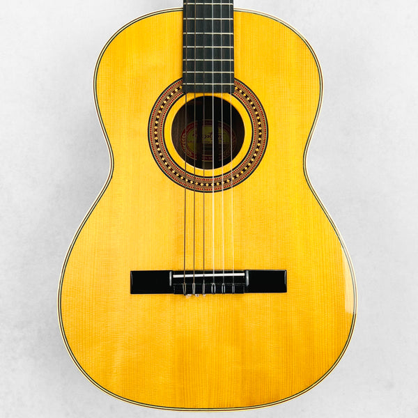 Hagstrom Spruce & Rosewood Nylon String Classical 1970s - Natural - 1