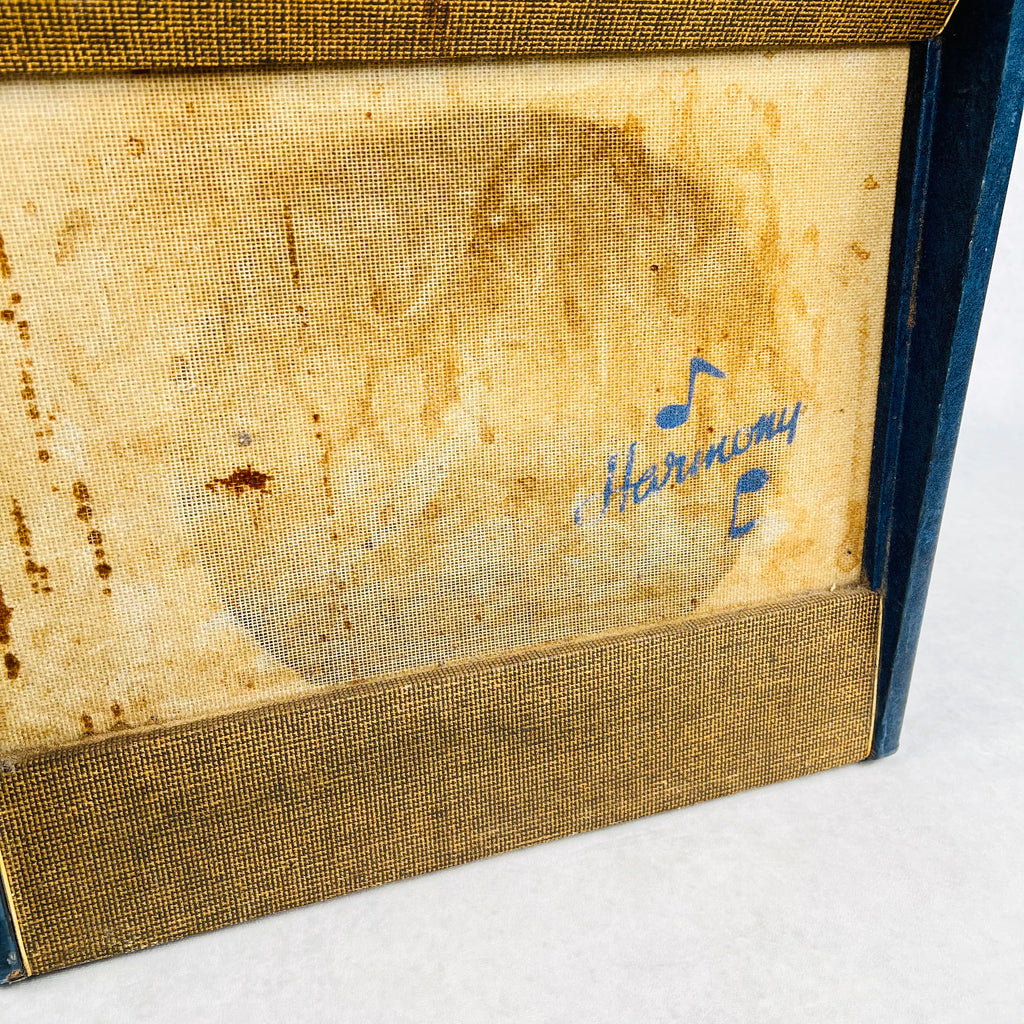 Harmony H205 1x12" Combo Amplifier 1950s - Blue & Tweed - 4