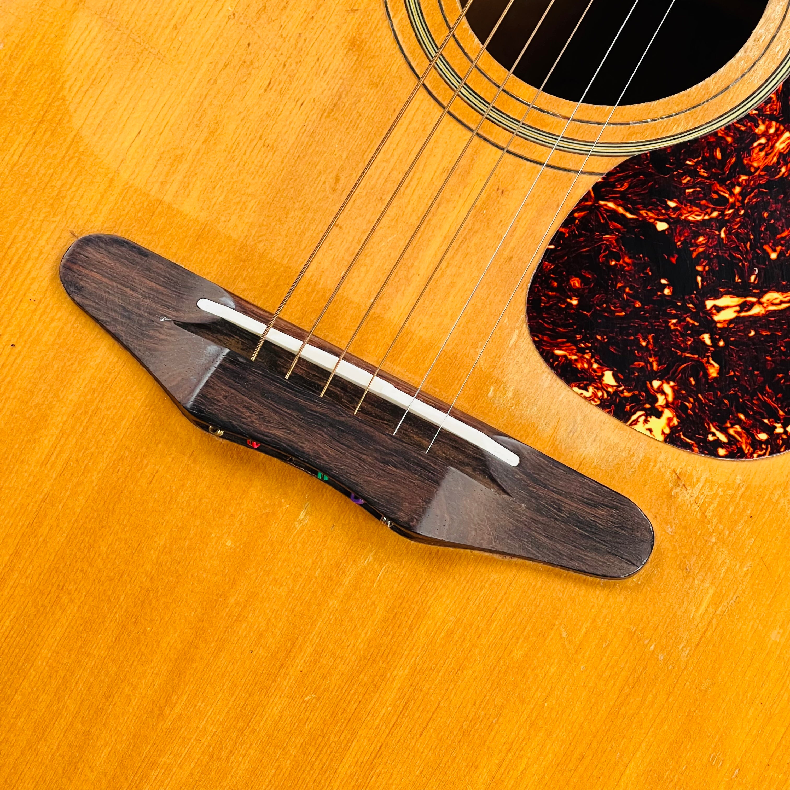 Harmony H1260 Sovereign Jumbo 1960s - Natural | Tone Wolf
