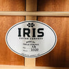 Iris AB Small Jumbo Acoustic 2020s - Darkburst - 6