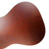Iris DF Adirondack Slope Shoulder Dreadnought - Tobacco Burst - 11