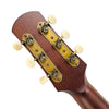 Iris DF Adirondack Slope Shoulder Dreadnought - Tobacco Burst - 14