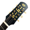 Iris DF Adirondack Slope Shoulder Dreadnought - Tobacco Burst - 8