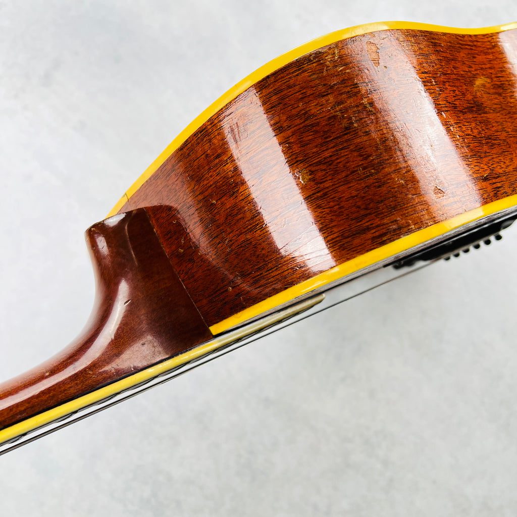 Kay Old Kraftsman K6100 Dreadnought 1960s - Natural - 23