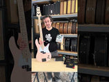 Fodera x Trickfish Preamp & Practice Amp Bass Pedal | Tone Wolf