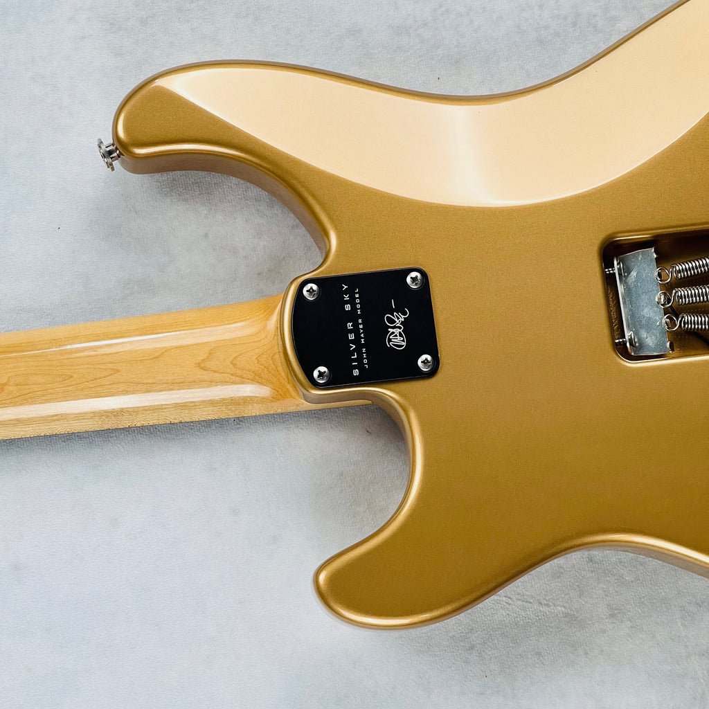 PRS John Mayer Silver Sky Rosewood Fingerboard 2019 - Golden Mesa - 14