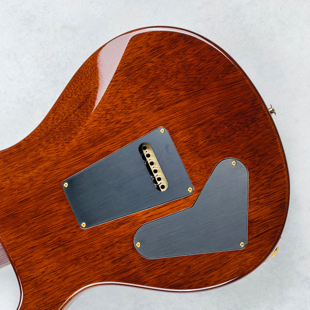 PRS McCarty Wood Library 10-Top Rosewood Neck 2023 - Yellow Tiger - 16