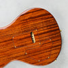 PRS Private Stock DGT Flame Top Ziricote Neck 2024 - Bahamian Glow - 16