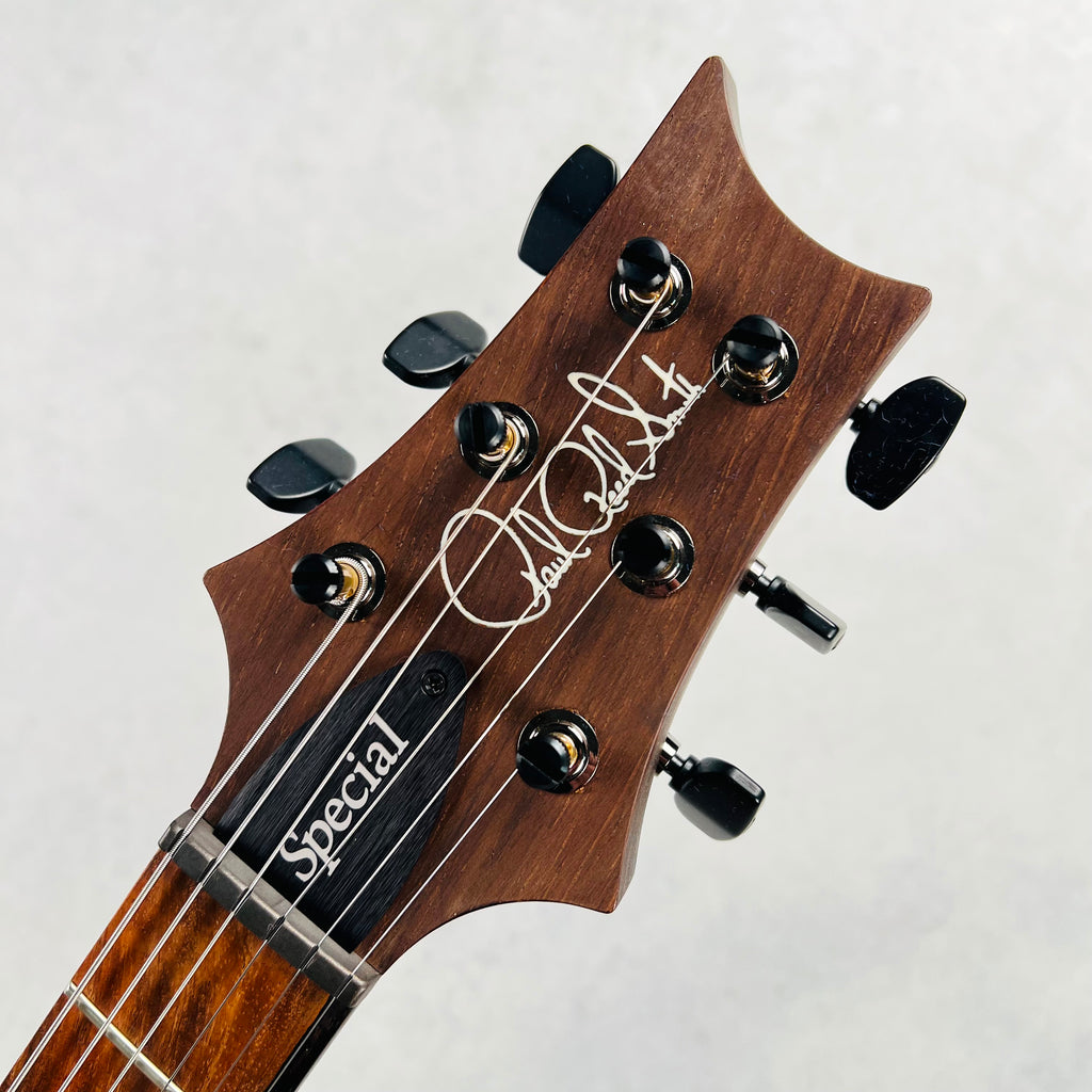 PRS Wood Library Special Semi-Hollow Brazilian Fingerboard 2024 - Gray Black - 10