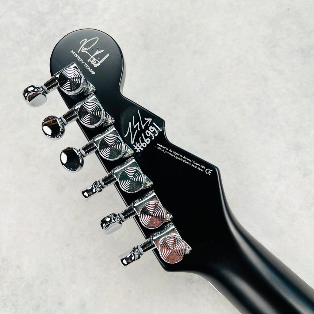 Reverend Vernon Reid 2025 - Mystery Tramp - 15