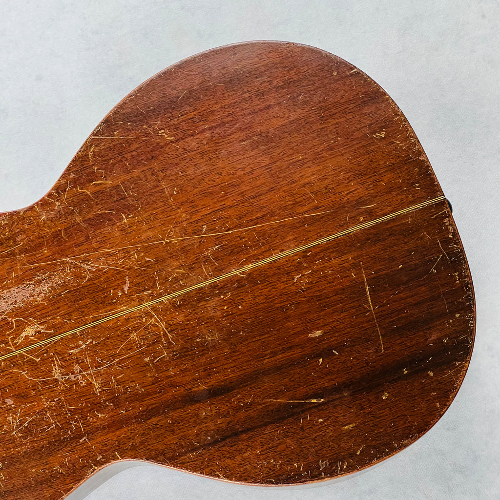 S.S. Stewart Model A-4000 Concert Acoustic 1930 - Natural - 15