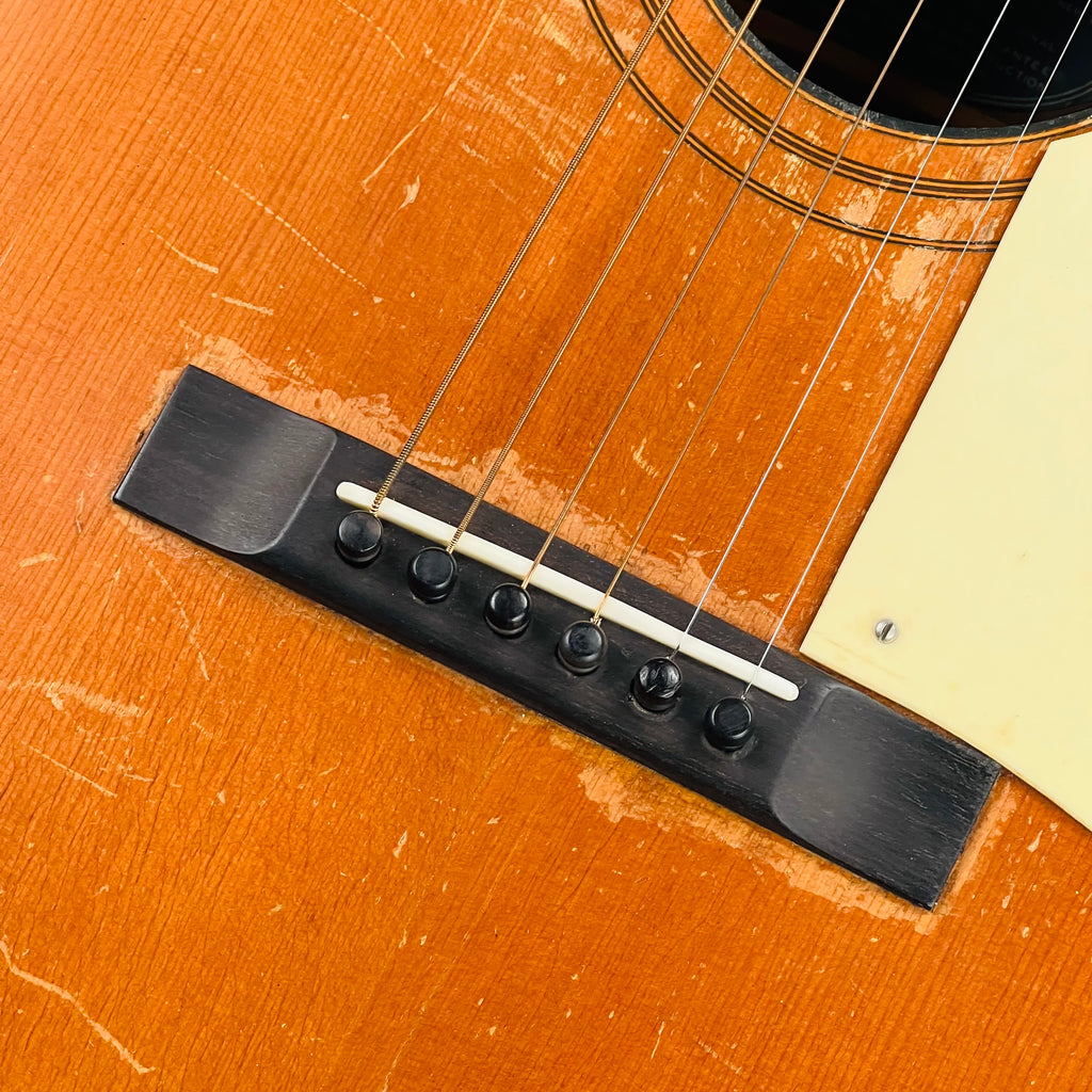 S.S. Stewart Model A-4000 Concert Acoustic 1930 - Natural - 7