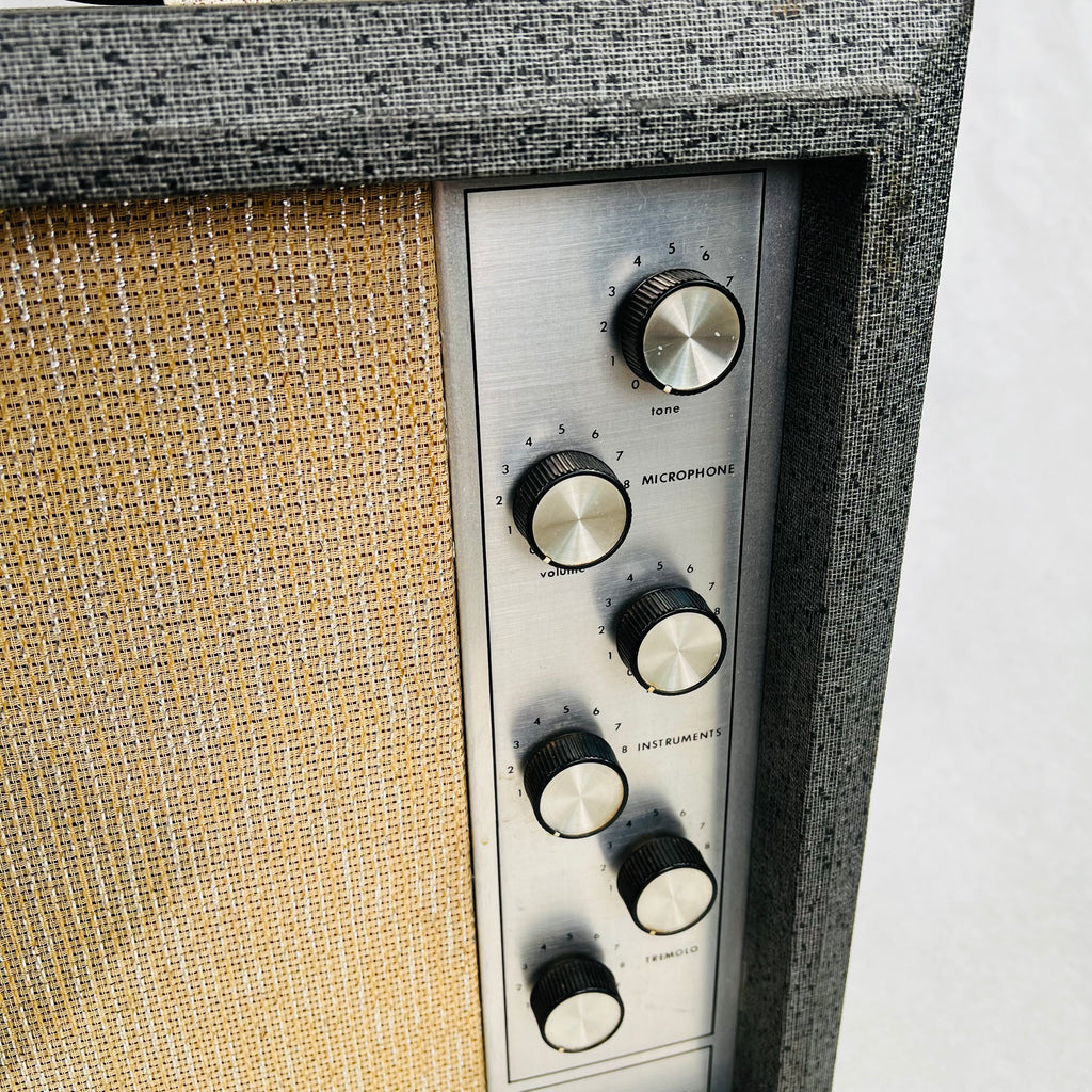 Silvertone 1482 1x12" Combo Amplifier 1963 - Gray - 4