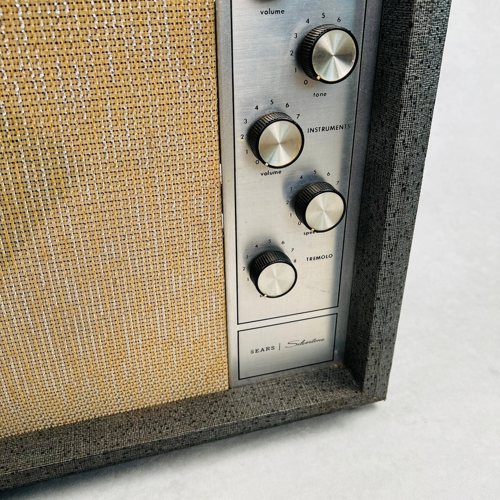 Silvertone 1482 1x12" Combo Amplifier 1963 - Gray - 5