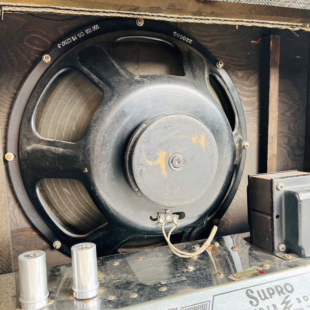 Supro Thunderbolt S6420 1x15" Combo Amplifier 1966 - Blue Rhino - 11