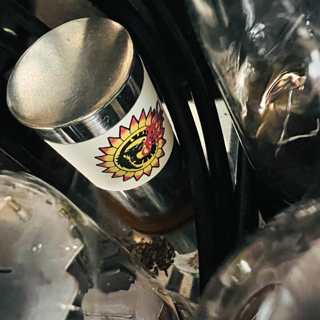 Supro Thunderbolt S6420 1x15" Combo Amplifier 1966 - Blue Rhino - 17