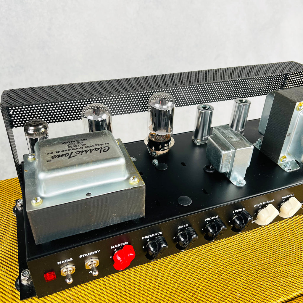 Tyler Flip Top 1x15" Bass Combo Amplifier 2025 - Tweed - 7